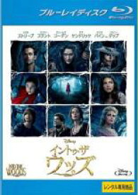 イントゥ・ザ ウッズ ブルーレイディスク 字幕のみ【洋画 中古 Blu-ray】メール便可 ケース無:: レンタル落ち 「売り尽くし」