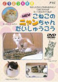 NEW こねこのニャンちゃん大集合【趣味、実用 中古 DVD】メール便可 ケース無::
