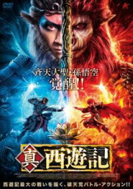 真 西遊記【洋画 中古 DVD】メール便可 レンタル落ち