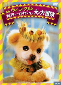 【ご奉仕価格】Mr.ウィンクル 世界一かわいい犬の大冒険 字幕のみ【洋画 中古 DVD】メール便可 レンタル落ち