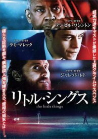 リトル・シングス【洋画 中古 DVD】メール便可 レンタル落ち