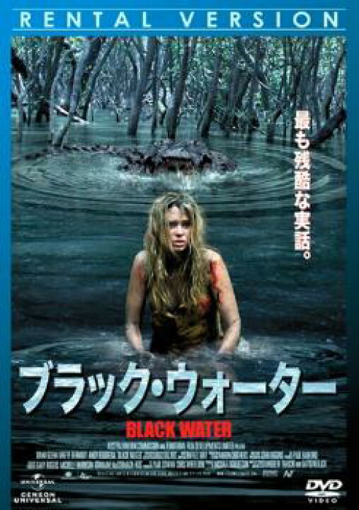 Search サーチ ホラー Dvd メール便可 洋画 中古