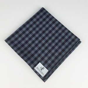 �y���������z�d�B�D �R�E�C���X�n���J�`[�u���b�N×�O���[ �u���b�N�`�F�b�N](HKC-2011AC14)�R�E�C���X�E�R�ۖh�L���H���n�g�p ���{�� �q�� ���