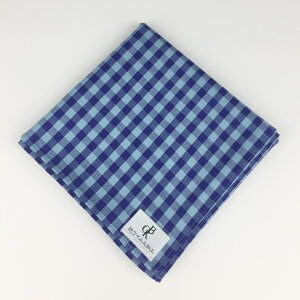 �y���������z�d�B�D �R�E�C���X�n���J�`[�l�C�r�[×�T�b�N�X �u���b�N�`�F�b�N](HKC-2011AC15)�R�E�C���X�E�R�ۖh�L���H���n�g�p �n���J�` ��ʂ��� ���{�� �q�� ��� �R�E�C���X �R�ۖh�L