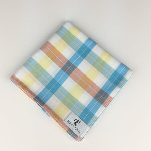 �y���������z�d�B�D �R�E�C���X�n���J�`[�u���[×�I�����W×�C�G���[ �}�h���X�`�F�b�N](HKC-2011AC18)�R�E�C���X�E�R�ۖh�L���H���n�g�p ���{�� �q�� ���