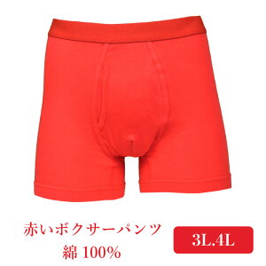 3L.4L.K Ԕ {NT[pc {NT[u[t Ԃ pc 傫TCY    Y j yԁz\   v[g Mtg