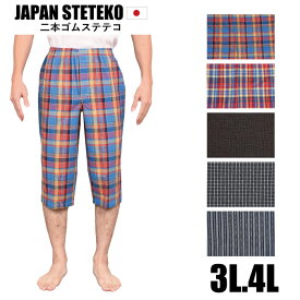 3L/4L★大きいサイズ★メーカー直販メンズステテコ【日本製】お腹に優しいウエスト2本ゴム仕様男物1枚ならメール便可選べる5カラー