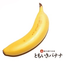 濃厚で甘みの強い国産の皮ごと食べられるバナナ ともいきバナナ 15本