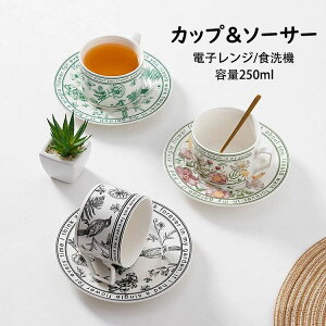 yI[vLOI30%OFFN[|zR[q[Jbv\[T[ k  ԕ }OJbv t  ϔM ϗ Rbv R[q[ e  Lb`G mH H  ①/