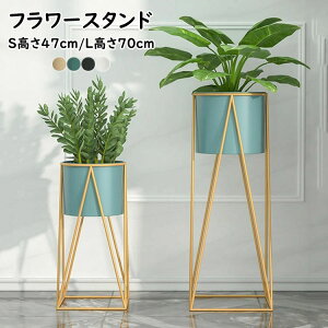 t[X^h  ԑ  X^h K[fjObN X ϗtA  |bg Jo[ t[ bN RpNg  Aؔ u   CeA k Ƒ v