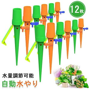 yI[vLOI1000~OFFN[|z蓖 12 Lbv 傤 @ UVXe TCN K[fjO/|/A/~//ɓKp ʒ 