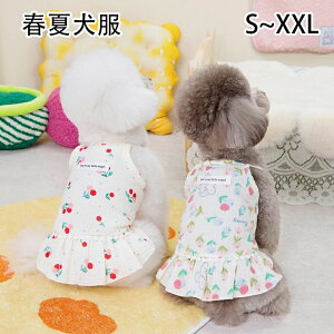 yI[vLOI1000~OFFN[|z   ̕ t  L ybg L~\[ UyXFȂ Ȏ hbOEFA t ĕ   킢 ̎q j̎q ^