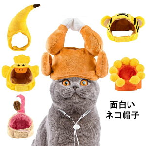 �y�I�[�v���L�O�I1000�~OFF�N�[�|���z���L�p�R�X�v�� �L�p�X�q ���Ԃ���� �y�b�g�X�q �L�R�X�v�� ���E�ȒP ���߉\ �}�W�b�N�e�[�v�t�� �}�W�b�N�e�[�v ������� ���� �y�b�g�p�i ���U��