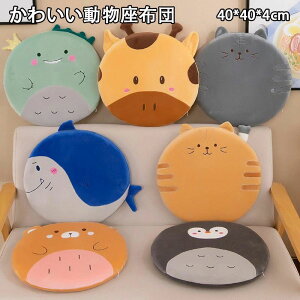 yI[vLOI1000~OFFN[|zzc NbV ֎qp  40×40 ᔽ [Rbg Lȓc  ~` `FA}bg  RpNg 4cm _ Vv p 킢