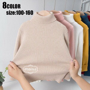 yI[vLOI1000~OFFN[|zZ[^[ Ci[Z[^[ jbggbvX q nClbN vI[o[ H~ ̎q j̎q  q JWA  qǂ LbY l