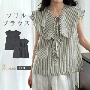 yʌI30%OFFN[|zVc fB[X gbvX uEX XgCv t`X[u t t  VlbN rWlX Ci[  JWA 傫TCY ̌^Jo[ _