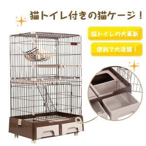 yʌI30%OFFN[|zL P[W LbgP[W 2i LgCt  LbgnEX lR nEX i  ی Eh~   X`[ ybgP[W V LX^