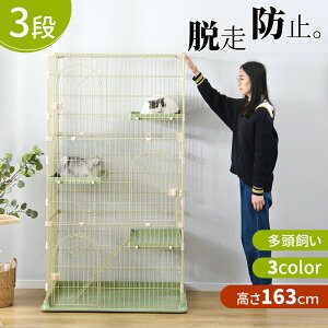 yʌI30%OFFN[|zL P[W 3i Q[W ^ LbgP[W  Eh~ ybgP[W@LX Vv Eh~ sN O[yM TCYz ybgP[W i 