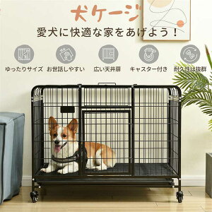 yʌI30%OFFN[|zp ybgP[W   hbO[T[N g[t ʕt P[W 1i |ȒP Op M P[W  [P[W