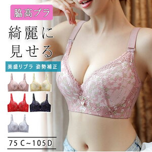 yI[vLOI30%OFFN[|zeu e ␳u JԃCN C[ Lw 킢[X   tbN4i5i p uW[ u 傫TCY 