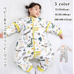 yI[vLOI30%OFFN[|zLbY pW} ԂX[p[ Q xr[ 1΁E5 _炩 H~ h gQ E i  /  j ㉺oJt@Xi[ I