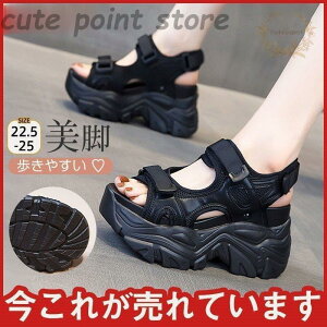 yI[vLOI30%OFFN[|zT_  10cm fB[X ɂȂ X|[cT_ r AEghA ₷ JWA r EFbW\[ ₷