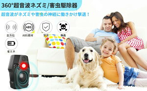 yI[vLOI30%OFFN[|zlY~쏜 g  lY~悯 lY~ގ S É Q쏜 g@ lY~  N nG Jf  ȃGl RE΍ RZg 