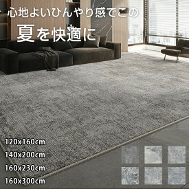 夏用ラグ ひんやり 抗菌 防臭 防ダニ 滑り止め付 無地 ノンホルムアルデヒド リビング ラグマット 軽量 北欧