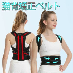 yI[vLOI30%OFFN[|zLwxg pxg w؋xg ɂ₳f ߉Lkxg jp w؃xg Ή ƒp o|p Mtg v[g