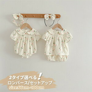 yʌI30%OFFN[|zxr[  ̎q p[X s[X xr[p[X xr[ Jo[I[ 100 wAoht Ԃ a  Zj[ {Q 