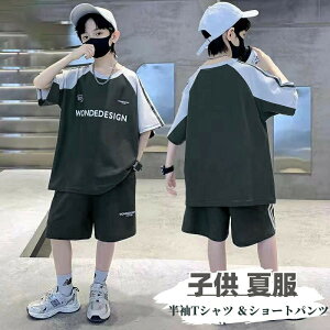 yʌI30%OFFN[|zq  j̎q TVc n[tpc W[W ㉺Zbg qǂ   JWA q i gbvX XEFbg ۋ n[tpc 