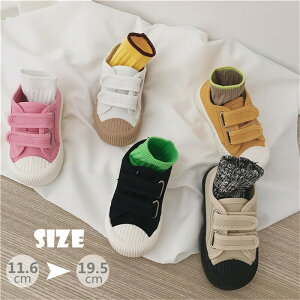 qC xr[C j̎q ̎q LbYV[Y q LbY xr[ 㗚    ؍ ʋC  ~ ₷ }WbNe[v  ct ۈ牀 ̈ 