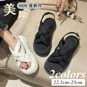 yʌI30%OFFN[|zT_ fB[X X|[cT_  Xj[J[T_ T_ ₷ ɂȂ PU _炩 h ϖ y JWA Xgbv 