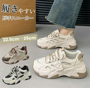 yʌI30%OFFN[|zXj[J[ fB[X  C V[Y Xj[J[ V[Y Cq[ jOV[Y EH[LOV[Y JWA C ʋC ʊw ʋ 