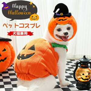 yʌI30%OFFN[|zybg nEB ̕  L L̕ RXv  RXv  񂿂  IW Xqt RX`[ hbOEFA ^ ^ N