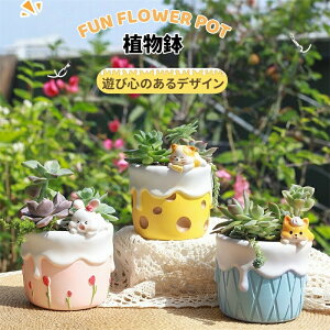 yʌI30%OFFN[|zAAؔ Aؔ A ϗtA v^[   IV 킢 A̐Aؔ  K[fjO 񂹐A u CeA A