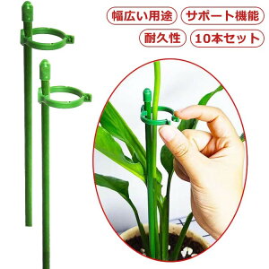 yN[|p10%OFFz  10{Zbg 30cm 45cm 60cm x | Ԃ̍L}Ĕoł JőԂ|̂hp̂ ϗtA K[fjO