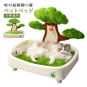 y撅50I15OFFN[|zʋC  ̖~͔L L xbh ybgxbh O\ NbV ӂ ybgnEX lR ܂Ƃ|[ Lpi ߂Ƃ 􂦂  Ce