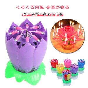 y撅50I15OFFN[|za }WbNt[ q 邭 ԕق邭 Lh TvCYLh @̉ fB p[eB[ a  v[