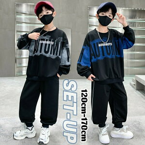 y撅50I15OFFN[|zq j̎q ZbgAbv WjA W[W  X|[c qǂg[i[ ێ X|[cEFA pc XEFbg {[CY LbY AEghA _X