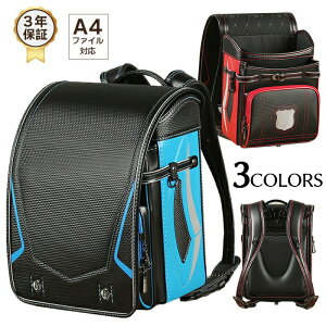 y撅50I15OFFN[|zhZ j̎q ʊwJo y  e hdグ  ʊw wj A4tbgt@CΉ wʊw ^ wʊw ʊw