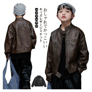 y撅50I15OFFN[|zR[g tH U[WPbg JbRCC LbY ؍q j̎q {[CY tFCNU[ gbvX PUv h h q JWA tWbv  