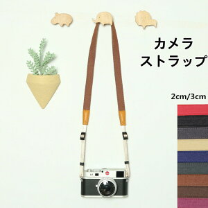 y撅50I15OFFN[|zJXgbv@J t Vv ჌t zJXgbv ߃^Cv 킢@ jp LoX ΂ߊ| U[@kz128z 