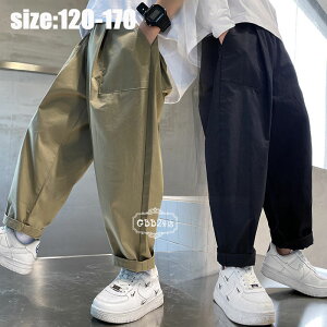 y撅50I15OFFN[|zY{ LbY j̎q q Opc Y{ {gX  ꂢ ///w 2F 120 130 140 150 160 170cm tH JWA 