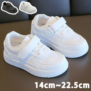 y撅50I15OFFN[|z_XV[Y X|[c C  Xj[J[ LbY Cxg K n jp ^C i w ʉ ʊw y  qC LbY _X ʋC h