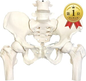 �y�Ζ��Z�[���I15%OFF�N�[�|���z�O�C�b�Ɠ��������ڍ��t�����Ֆ͌^ �l�̖͌^ ���͌^ ���w�Ö@�m�ďC ���i�W�{ �L�k�R�[�h ����