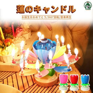 y撅50I15OFFN[|zp[eB[ Lh 낤 @̉ C{[ o[Xf[ io[ Lh a LO j p[eB[Lh P[LpLh