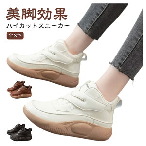 y撅50I15OFFN[|znCJbgXj[J[ fB[X O RtH[gV[Y  EH[LOV[Y ʋC JWA O EH[LOV[Y   X