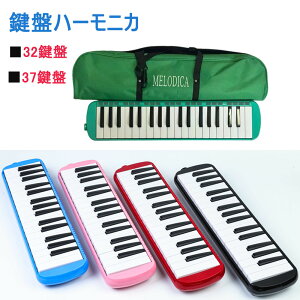 y撅50I15OFFN[|zy[ܕtzՃn[jJ 32 n[jJ37 ct wZ y  v[g sAjJ z[X  32Ճn[jJ tppCv tpz[X 