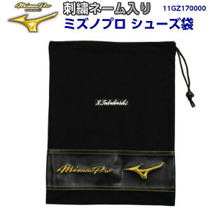 l[hJ lC ~Ym (11GZ170000) ~Ymv 싅 V[Y O (BM)